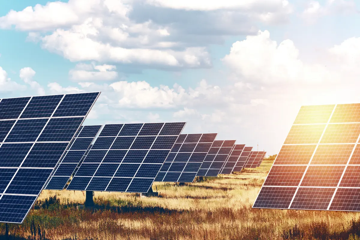 Solar Panels in Canberra